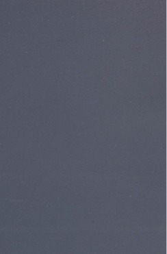 Laminati Grigio Vernice LA04